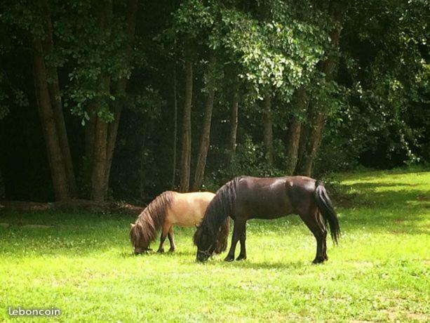アンビユー Domaine Du Moulin Neuf Bed & Breakfast エクステリア 写真